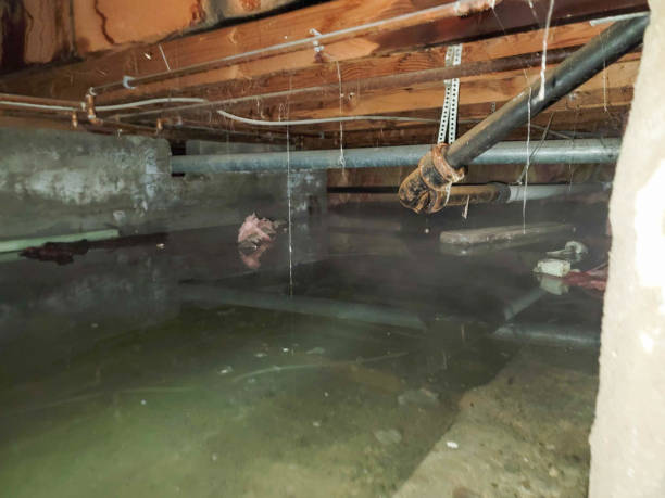 Best 24/7 water damage repair  in Colonial Heights, TN
