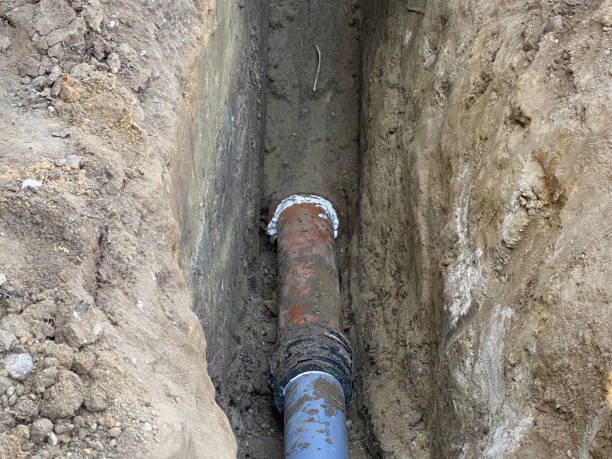 Best 24-hour water damage restoration  in Colonial Heights, TN