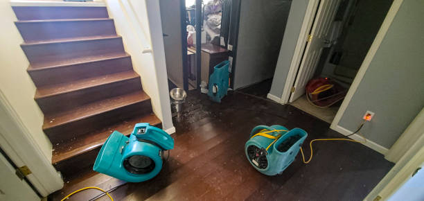 Best Water damage restoration near me  in Colonial Heights, TN