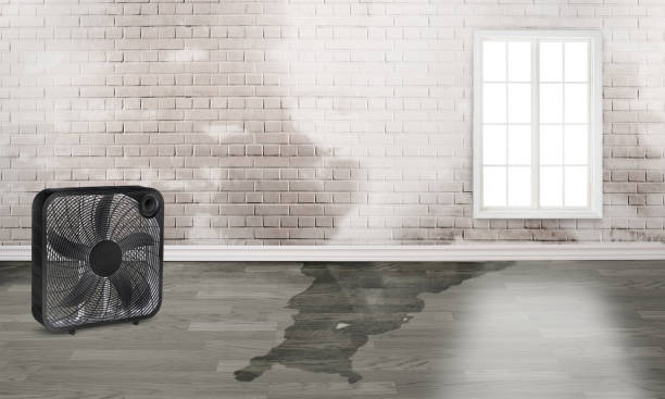 24/7 water damage repair in TN
