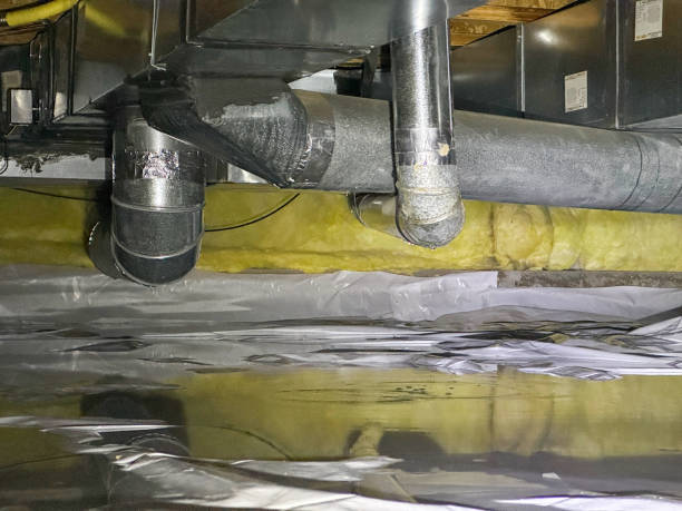 Best Water damage contractors near me  in Colonial Heights, TN