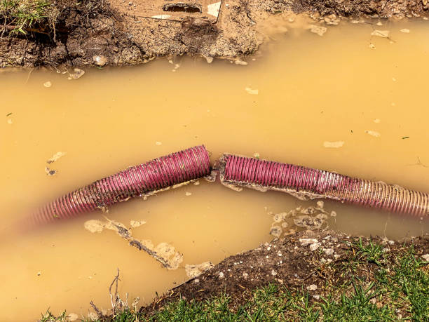  Colonial Heights, TN Water damage restoration Pros